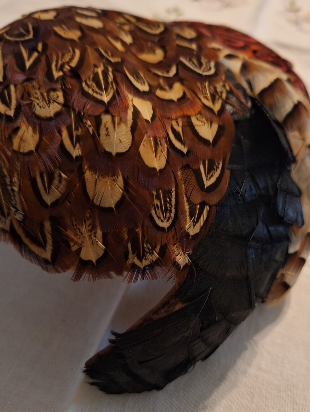 Vintage Feathered Cocktail Hat with Red and Brown Pheasant Feathers - Picture 5 of 7